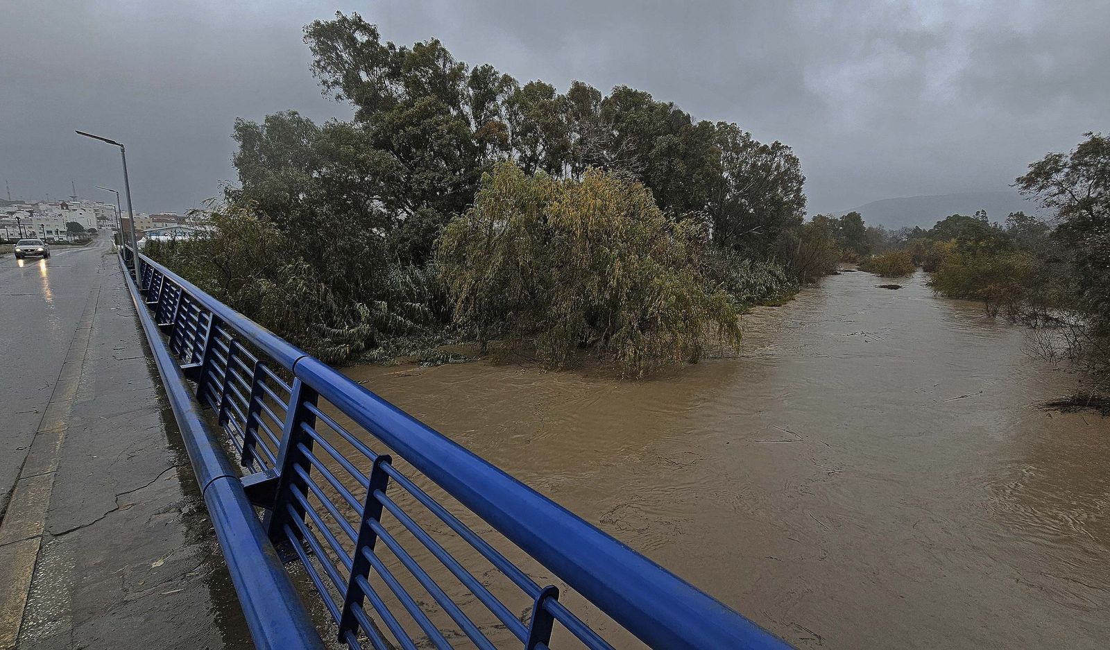 Fotos de las inundaciones y efectos de la borrasca Francis en Los Barrios, Tesorillo y Jimena