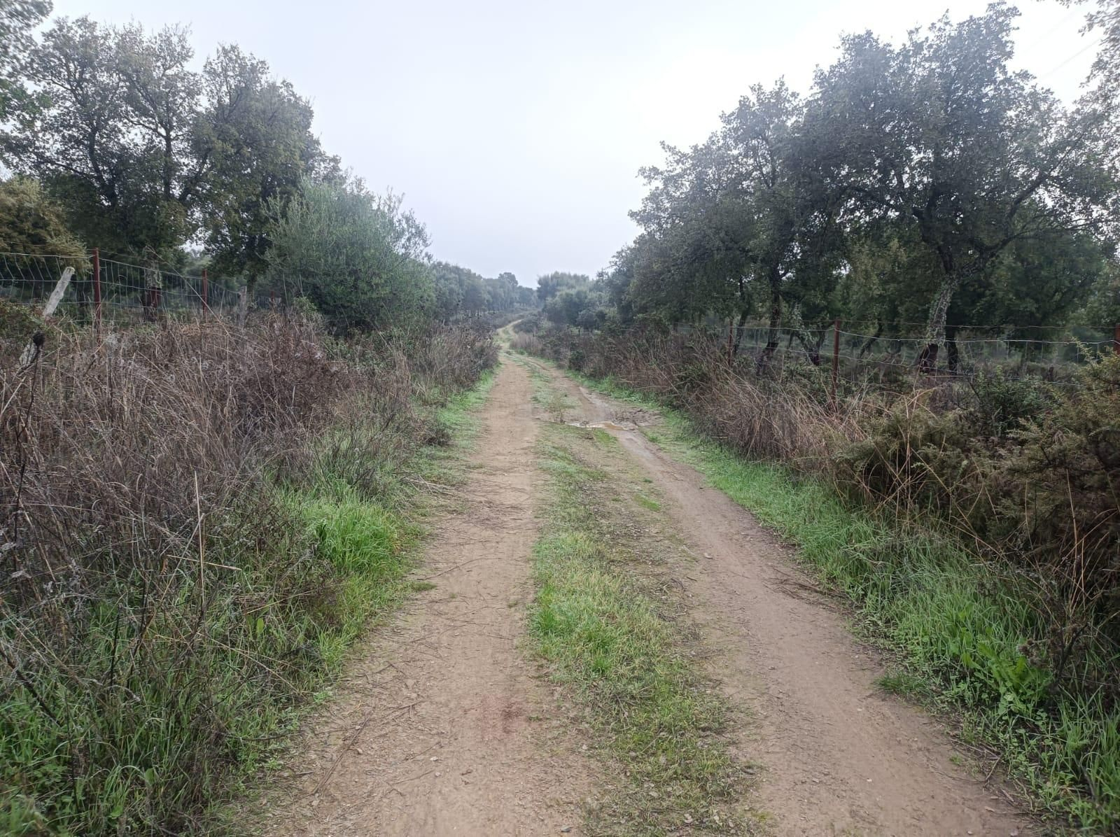 El sendero se estrecha.