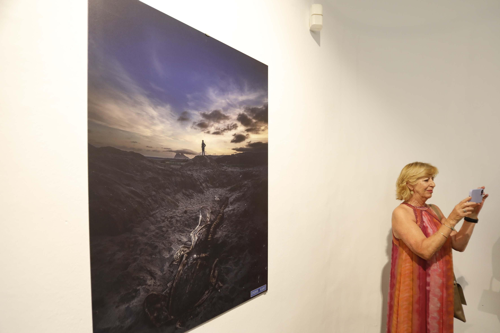 Fotos de la exposición del esqueleto de la ballena Galadriel