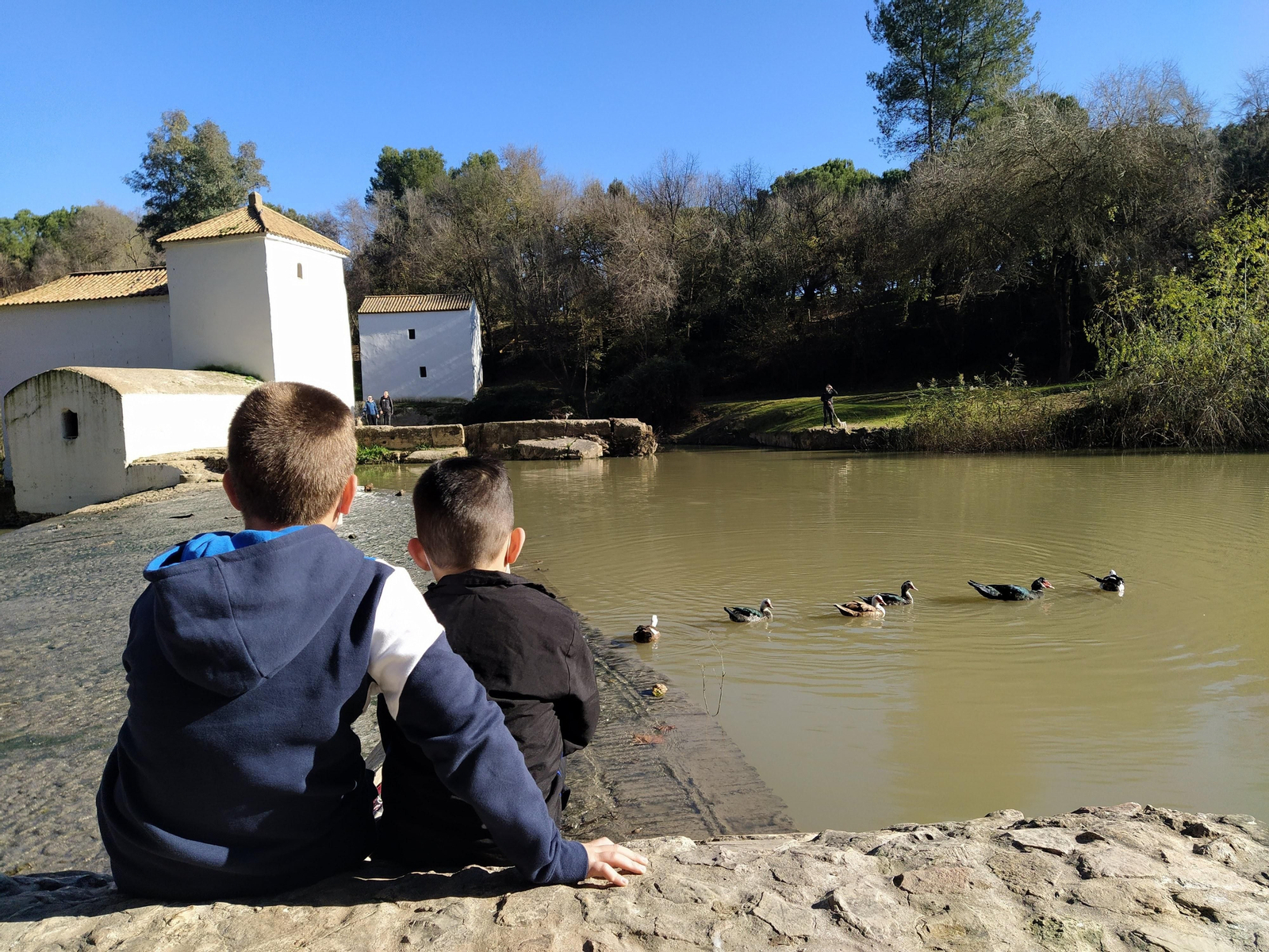 Algo tan simple como un paseo en bicicleta, una tarde de cine, una buena conversación o apoyo a la hora de tomar una decisión importante, son algunas de los cometidos que puede desempeñar la familia colaboradora.