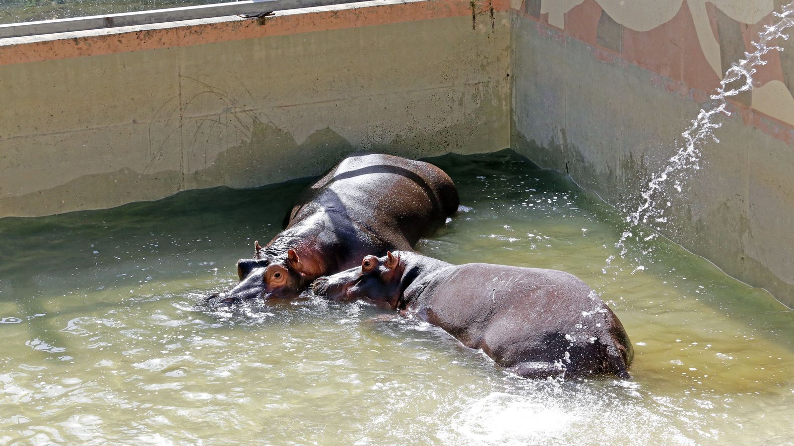Reapertura del Zoo de Jerez