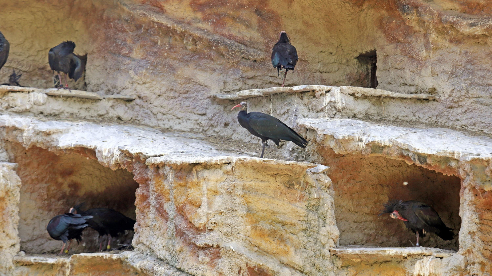 Reapertura del Zoo de Jerez