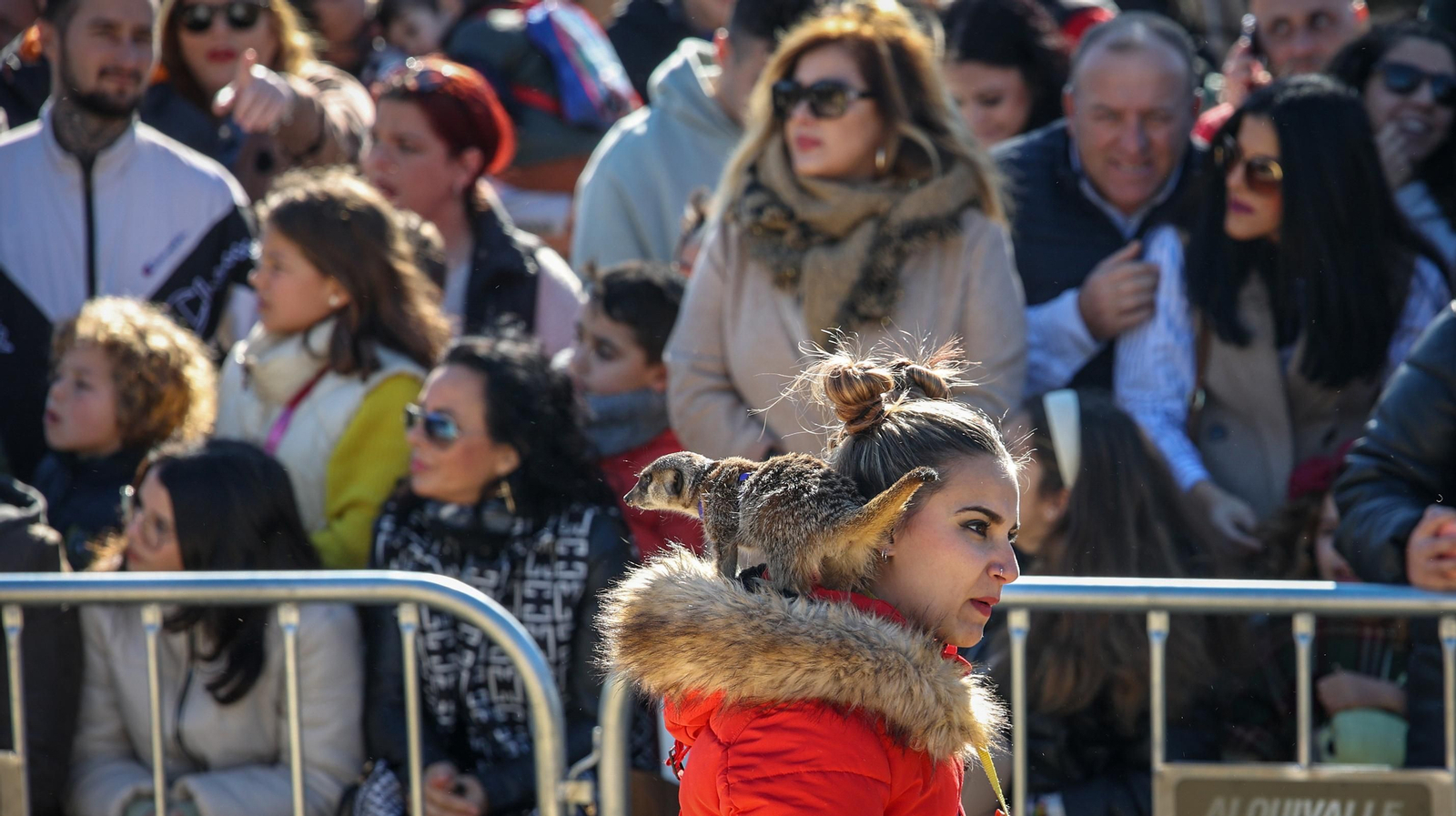 Búscate en San Antón de Jerez