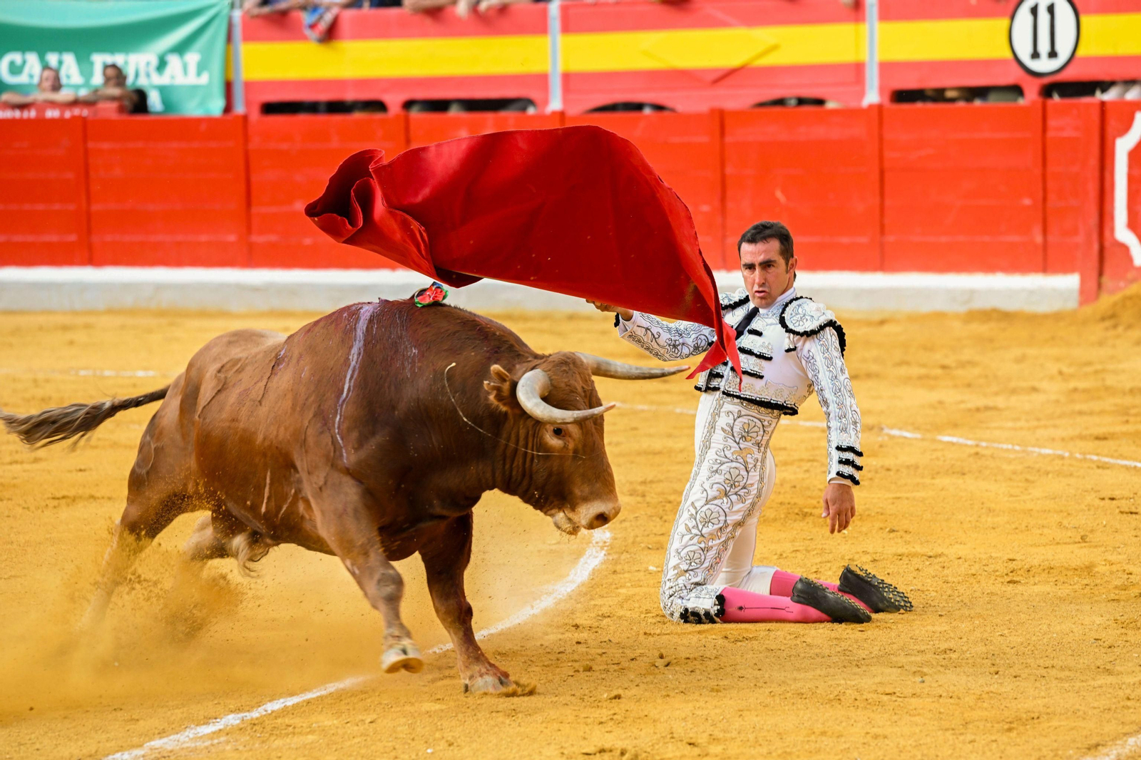 Las 50 mejores fotos de la Feria del Corpus Christi de Granada 2024