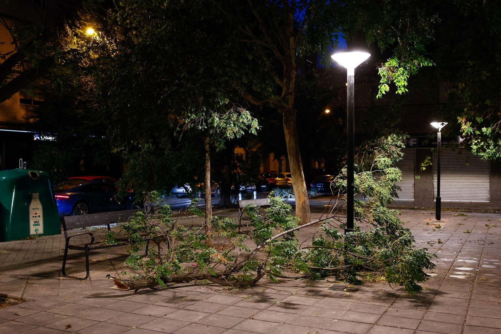 Fotos: así está siendo el fuerte viento de la borrasca Bernard en Granada