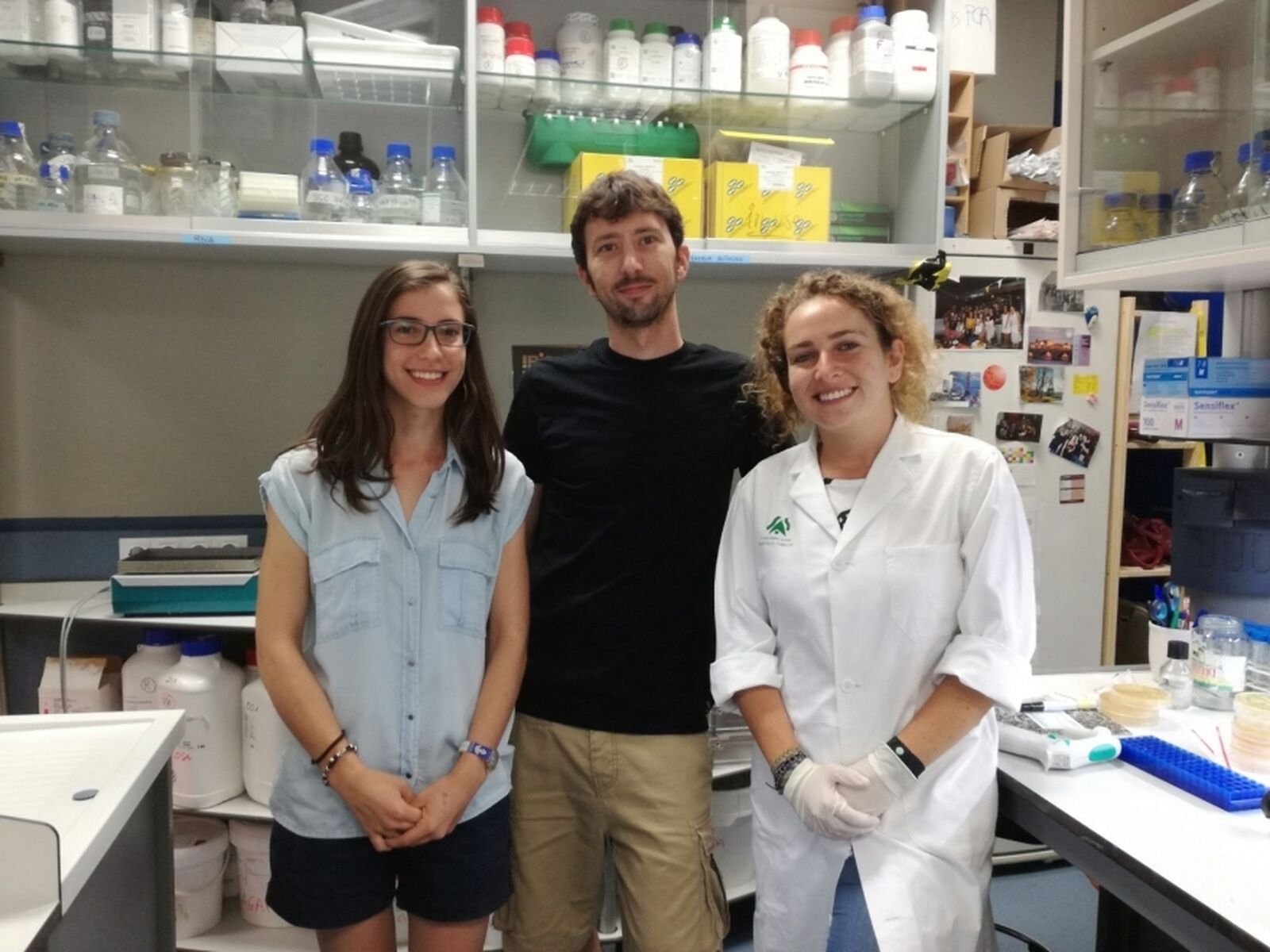 Investigadores de la US desvelan el papel de un mecanismo de reparación del ADN