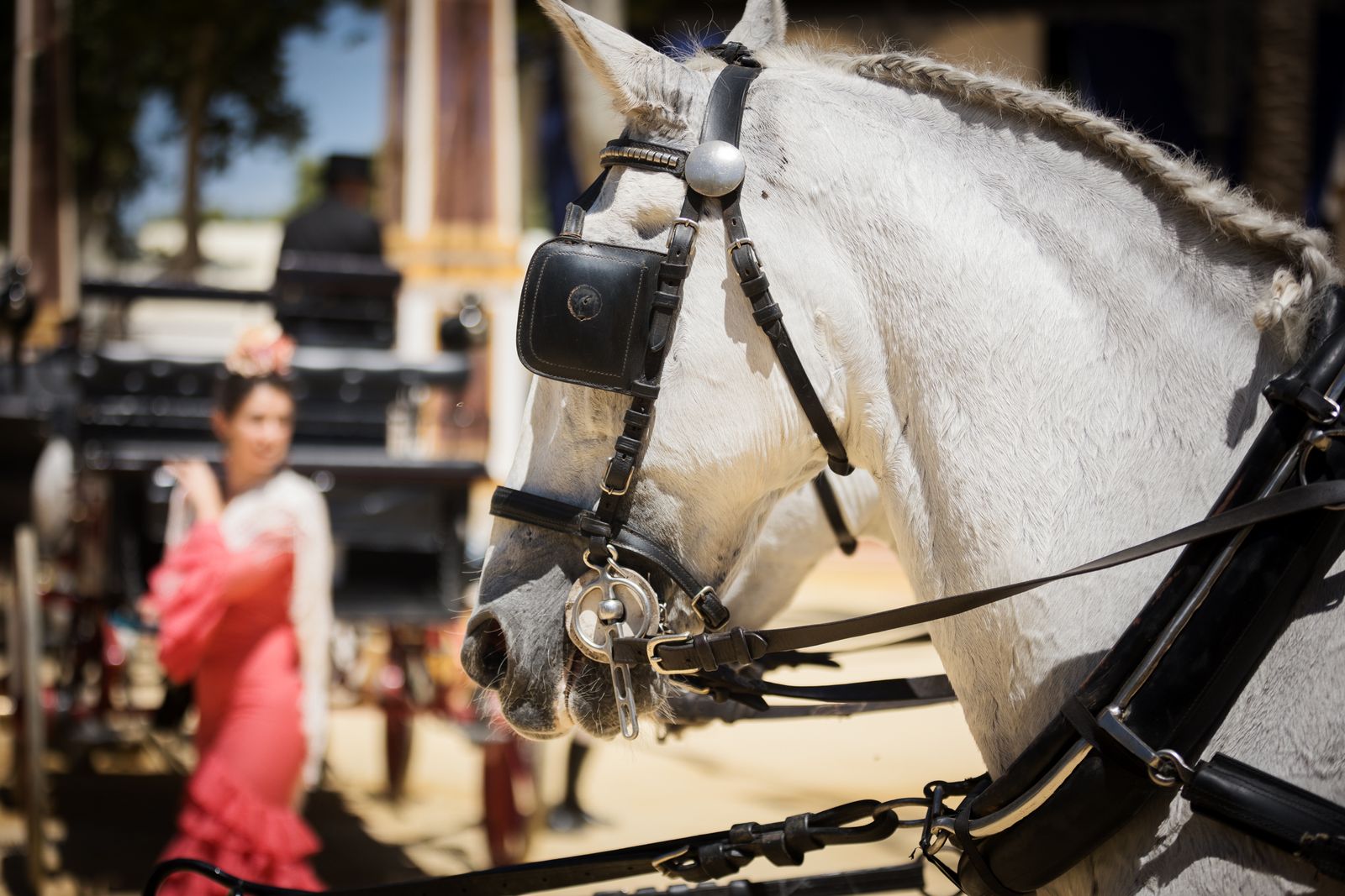 Calor y ambiente en el último día de la Feria de Jerez