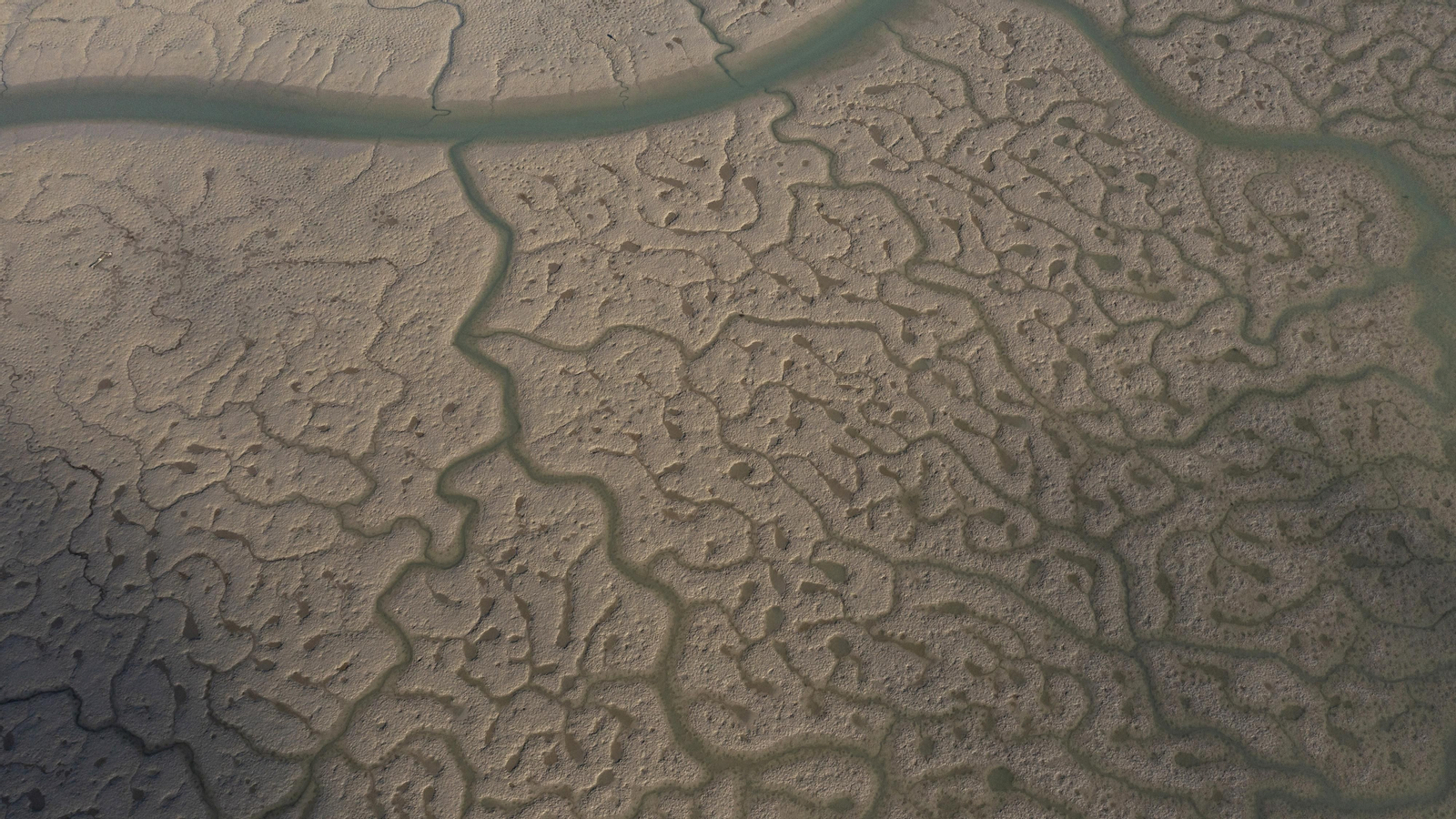 Día Mundial de Agua 2022