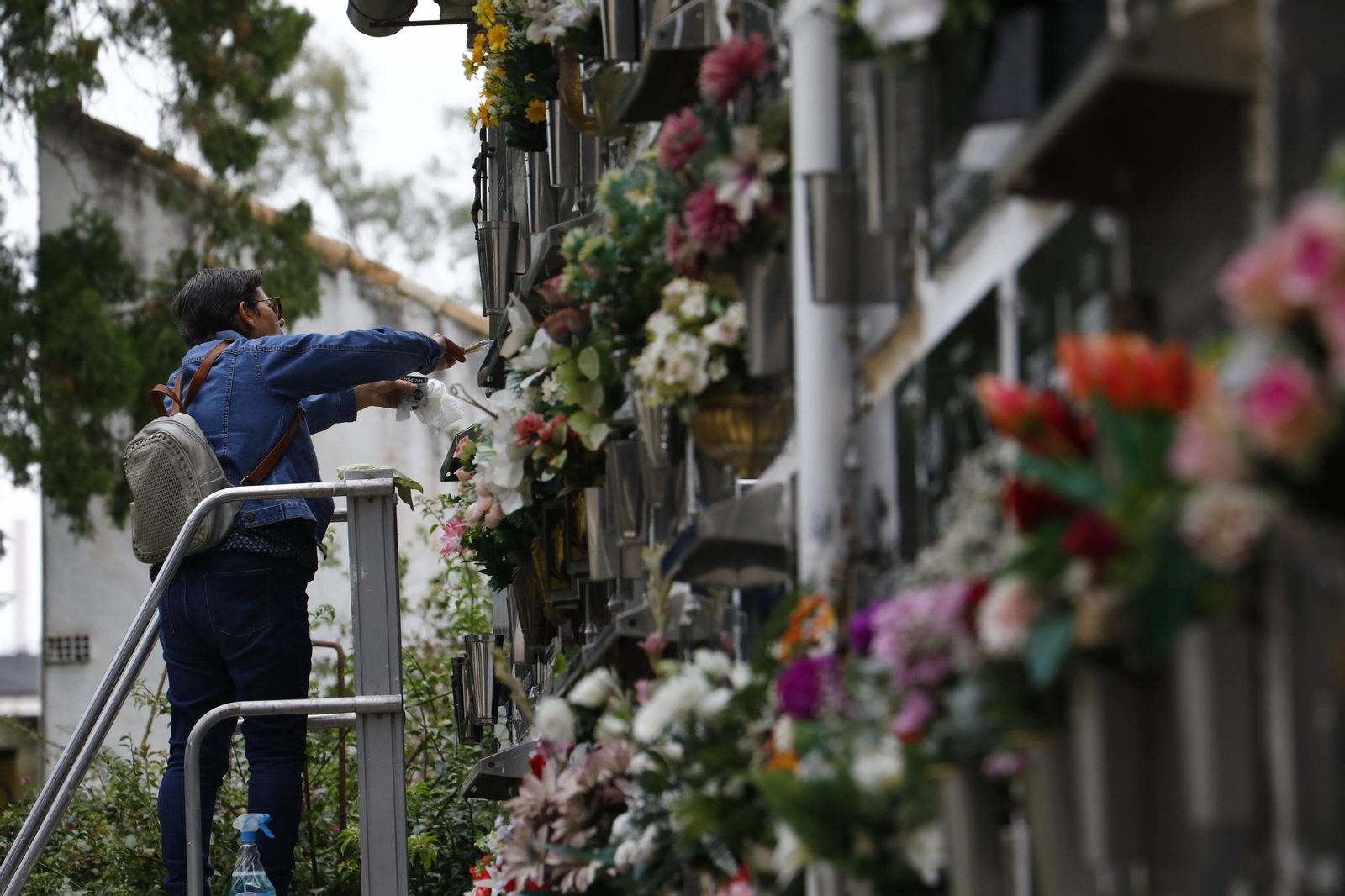 Las imágenes de los preparativos de los cementerios de Córdoba por el día de Todos los Santos