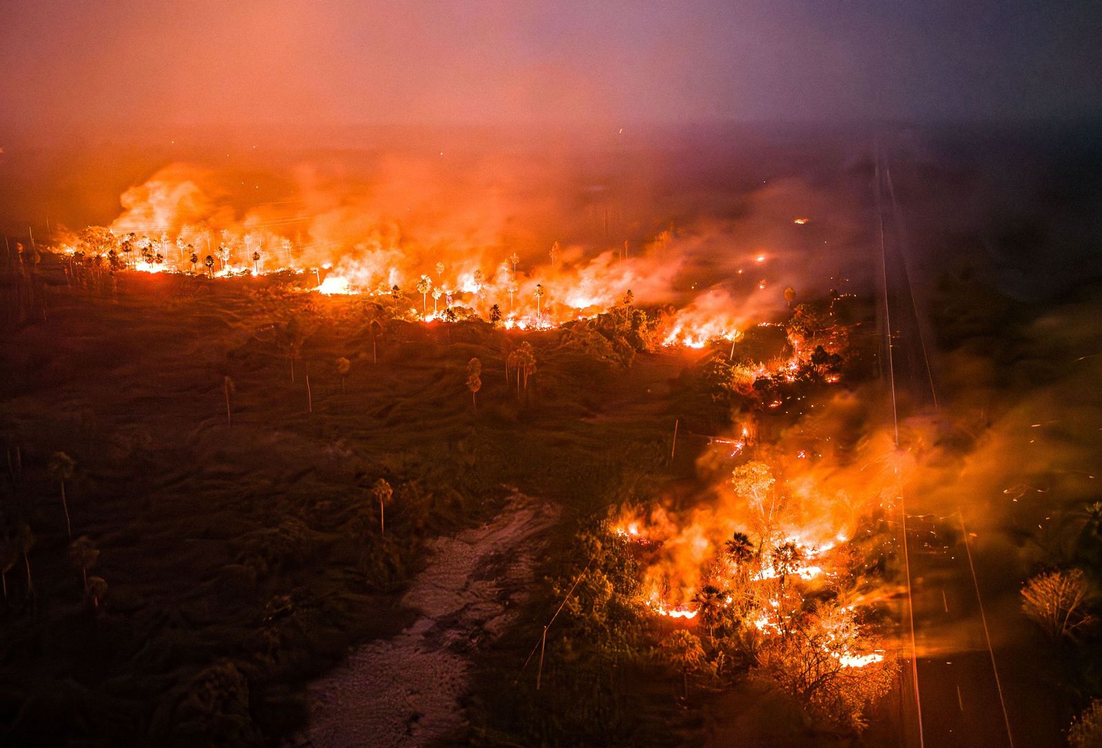 Las llamas convierten en una tumba al aire libre El Pantanal en Brasil