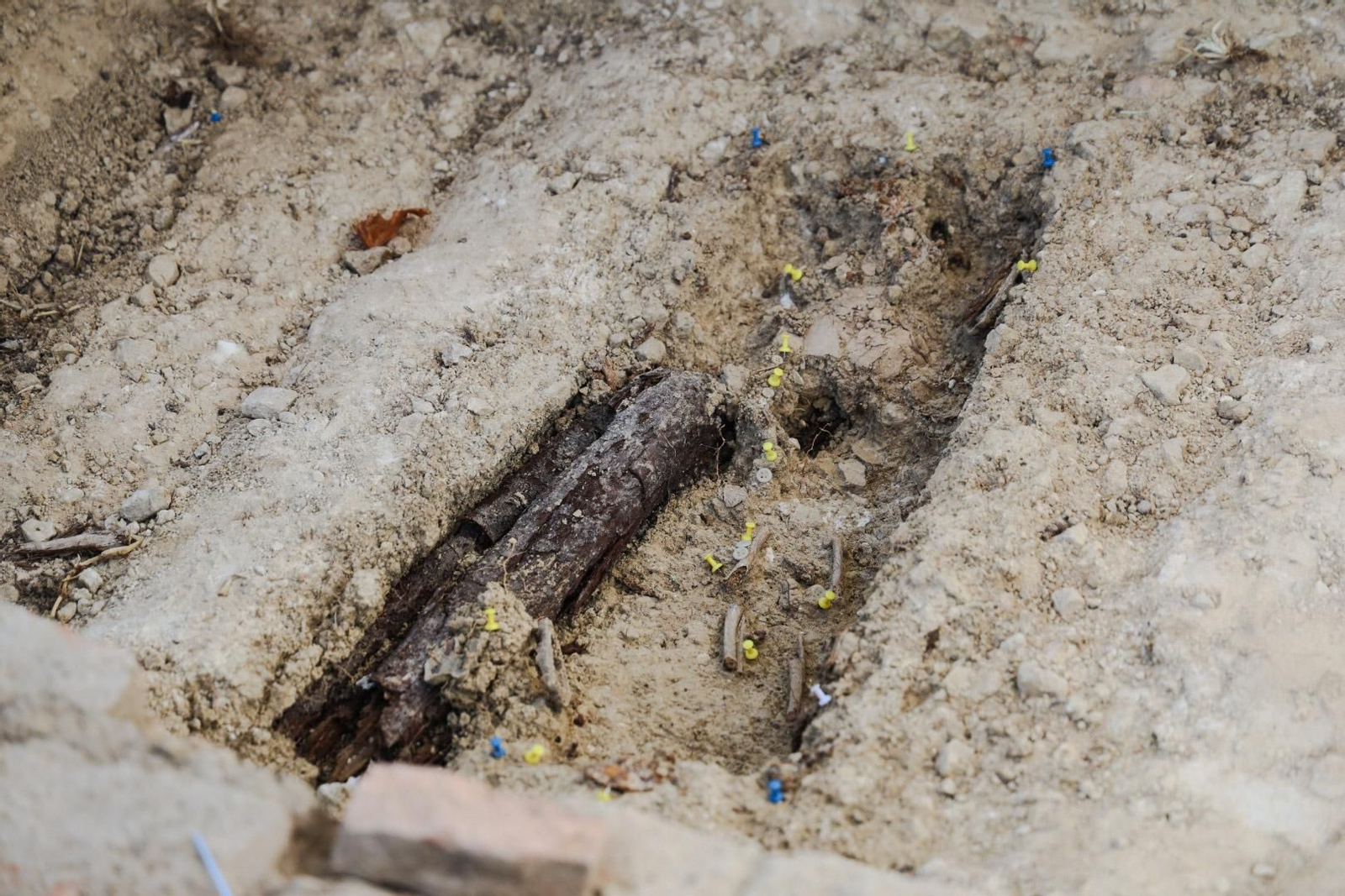 Imágenes de la exhumación de fosas comunes en el cementerio de Huelva para buscar posibles bebés robados