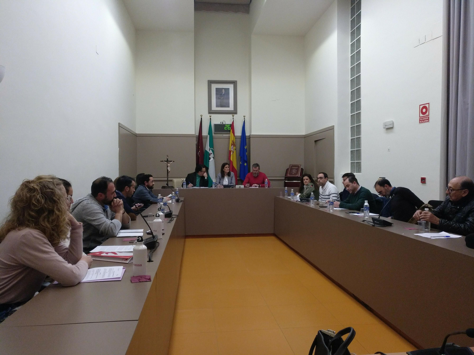 Un momento durante el Pleno Extraordinario.