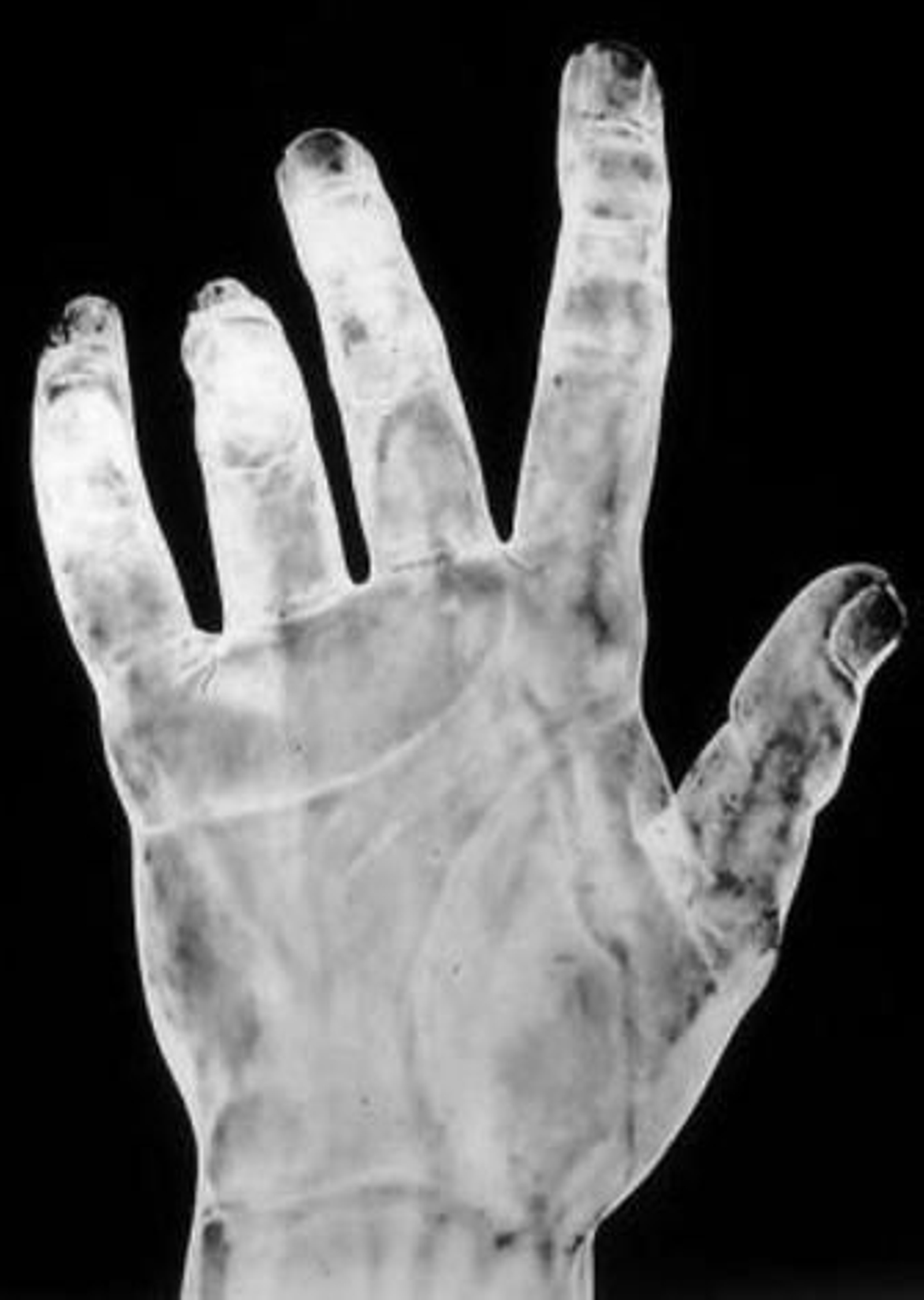 El profesor Juan Manuel Miñarro en su taller de trabajo.