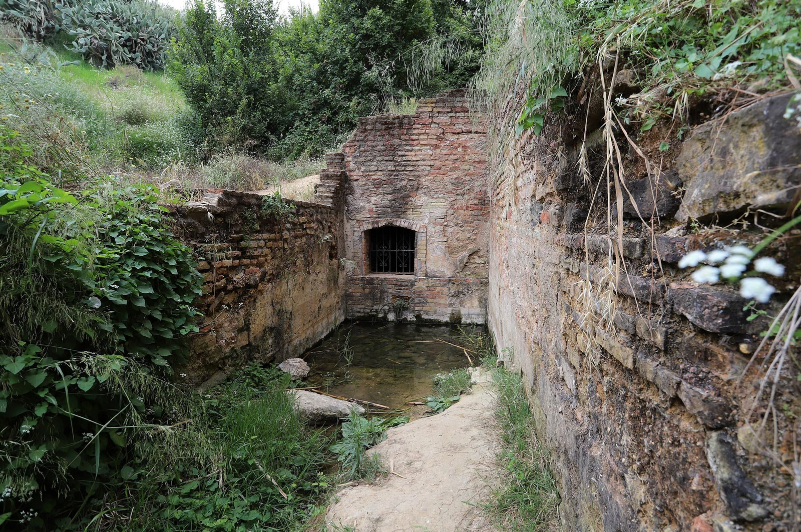 Imágenes del estado de abandono en el que se encuentra la Fuente Vieja y su entorno