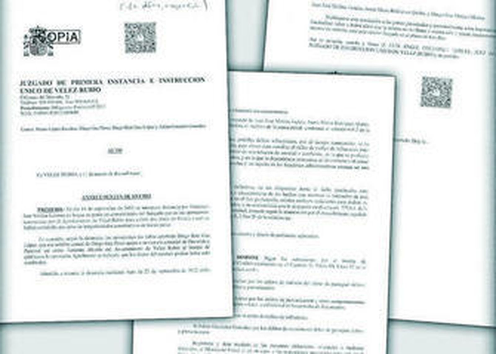 Auto judicial del proceso  que lleva el Juzgado de Primera Instrucción de Vélez-Rubio.
