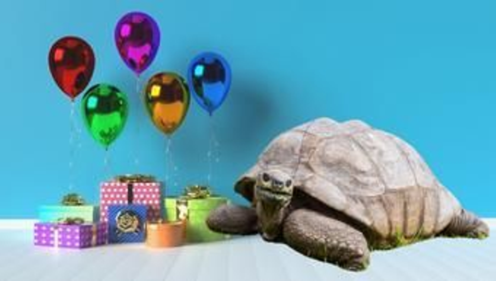 El animal terrestre más viejo del planeta tiene 190 años y lo celebró por todo lo alto durante tres días