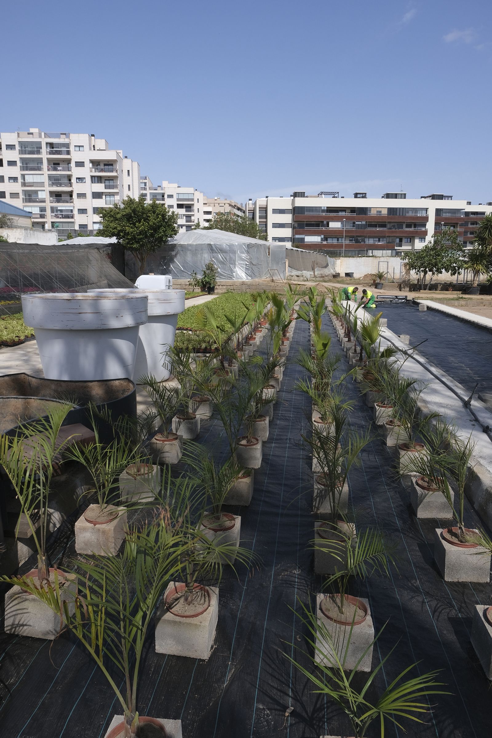 Fotogalería de la visita al vivero municipal de Almería.