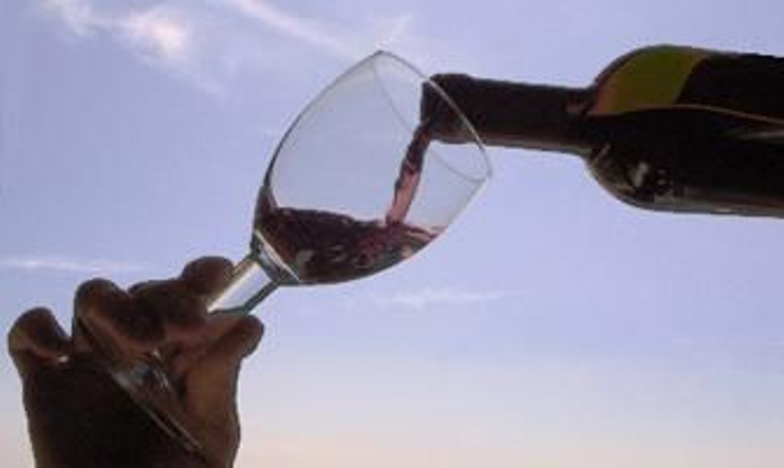 Un grupo de investigadores demuestra que el vino contiene probióticos beneficiosos para la salud