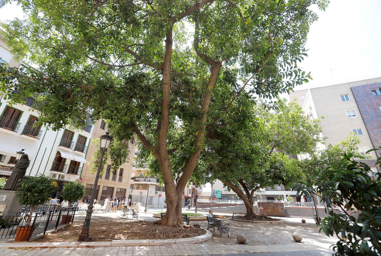 La Plaza Niña de Huelva