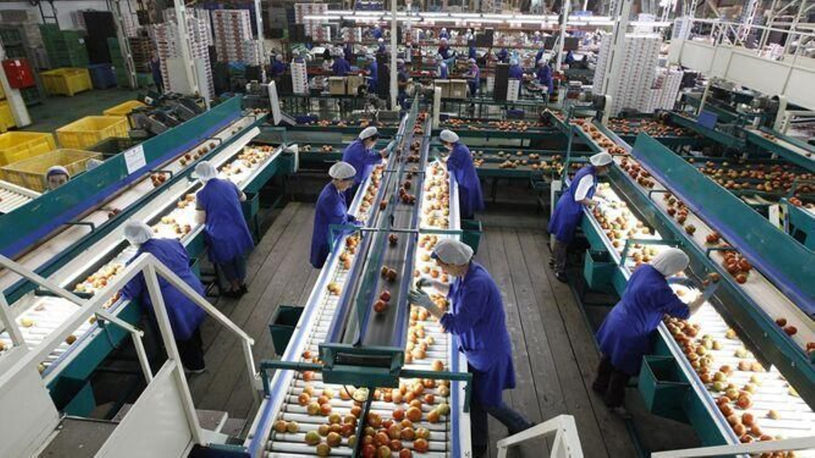 CSIF considera que las pautas propuestas son insuficientes y, en algunos casos, desacertadas.