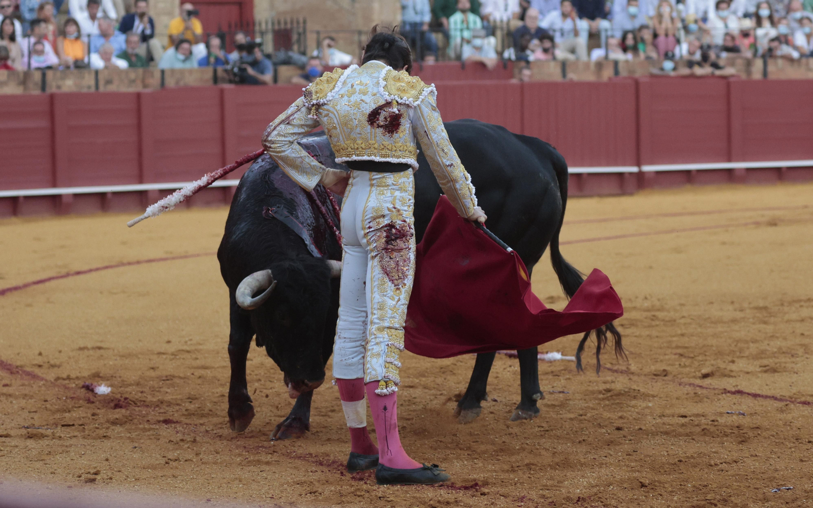 Las imágenes del primer festejo de San Miguel