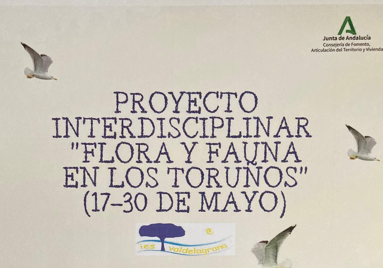 Un fragmento del cartel de la muestra.