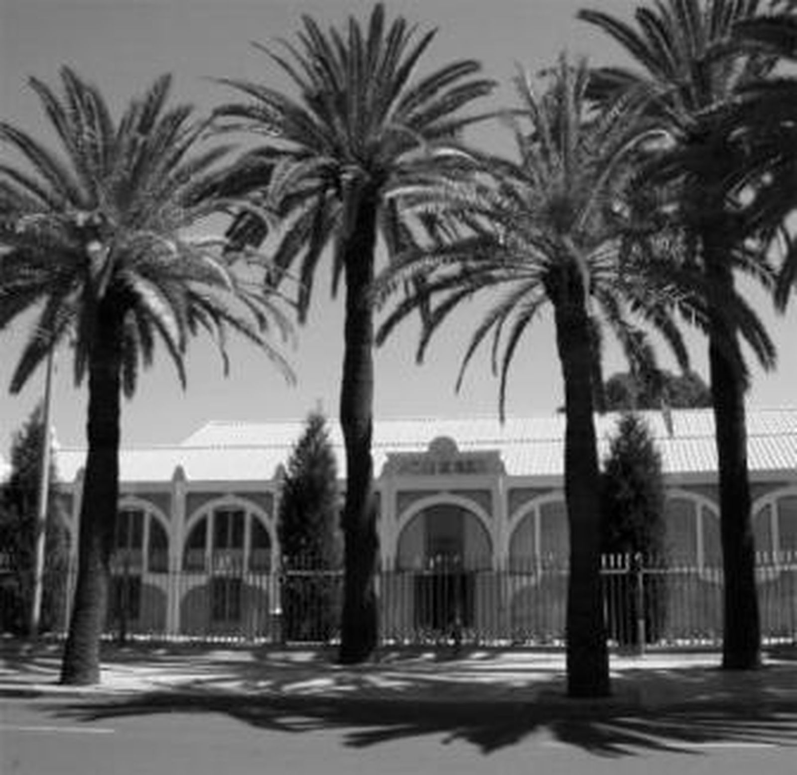 Imagen de la avenida de Hispanoamérica, junto a las Cocheras.