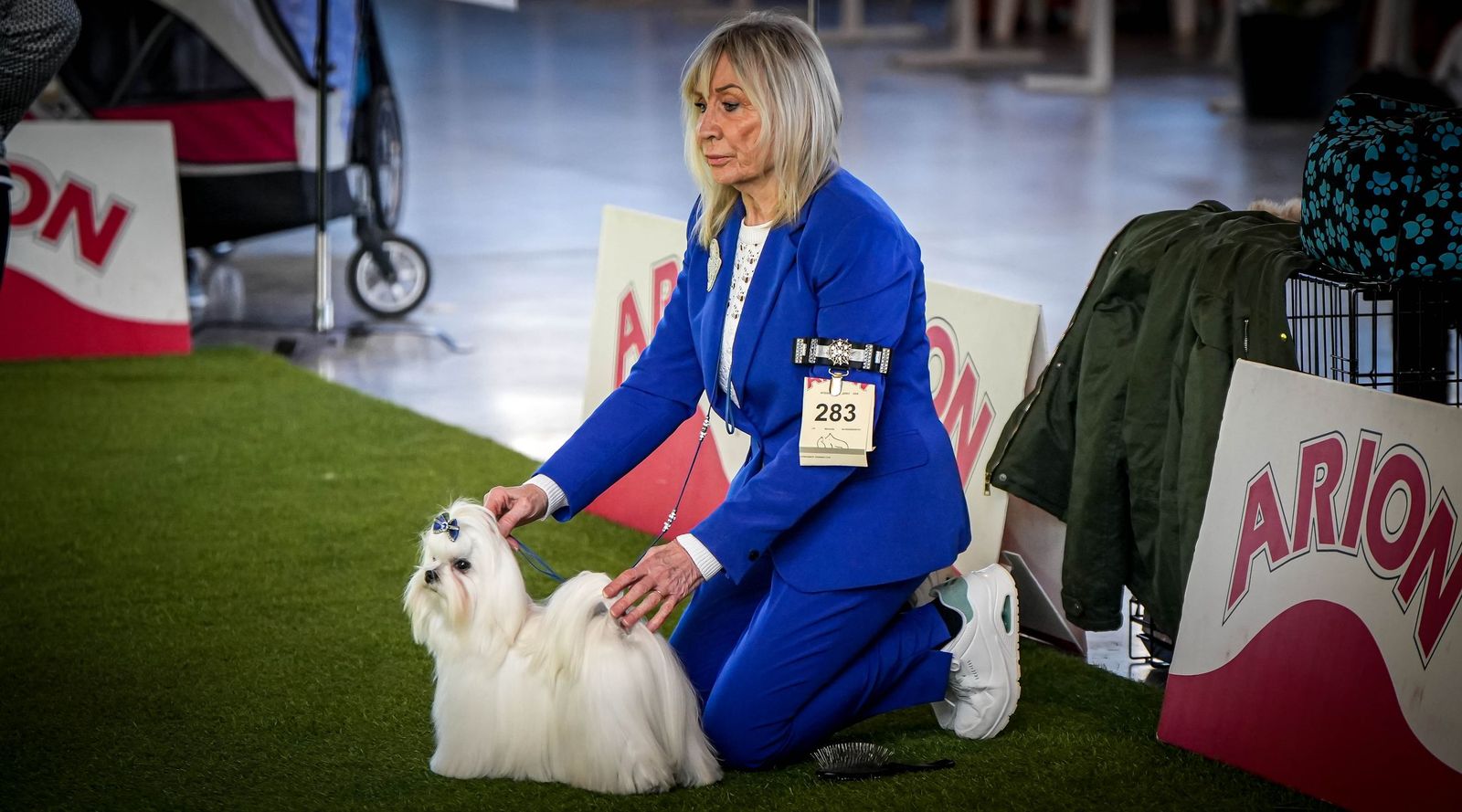 Espectacular exposición canina en Ifeca Jerez, en imágenes