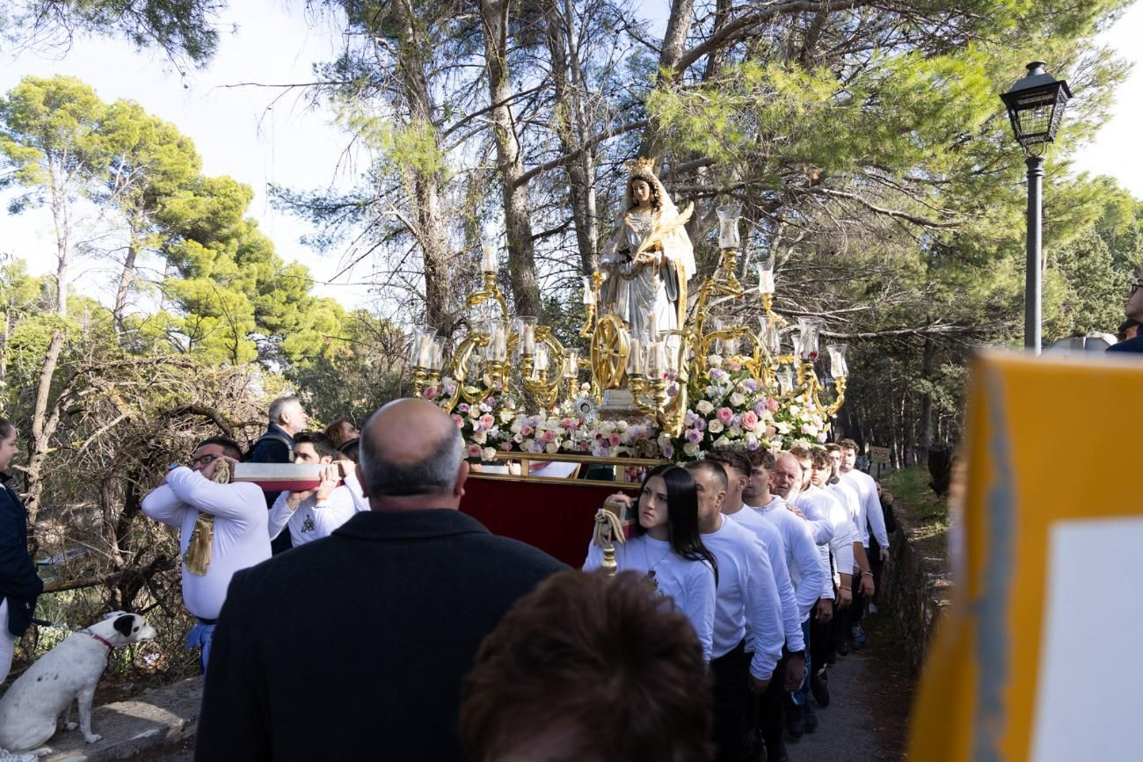 Romería de Santa Catalina