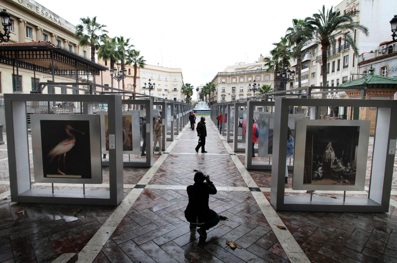 Latitudes, inauguración de la exposición colectiva en la Plaza de Las Monjas en imágenes