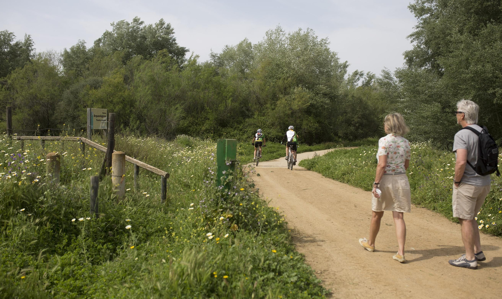 Así está Aznalcóllar 20 años después