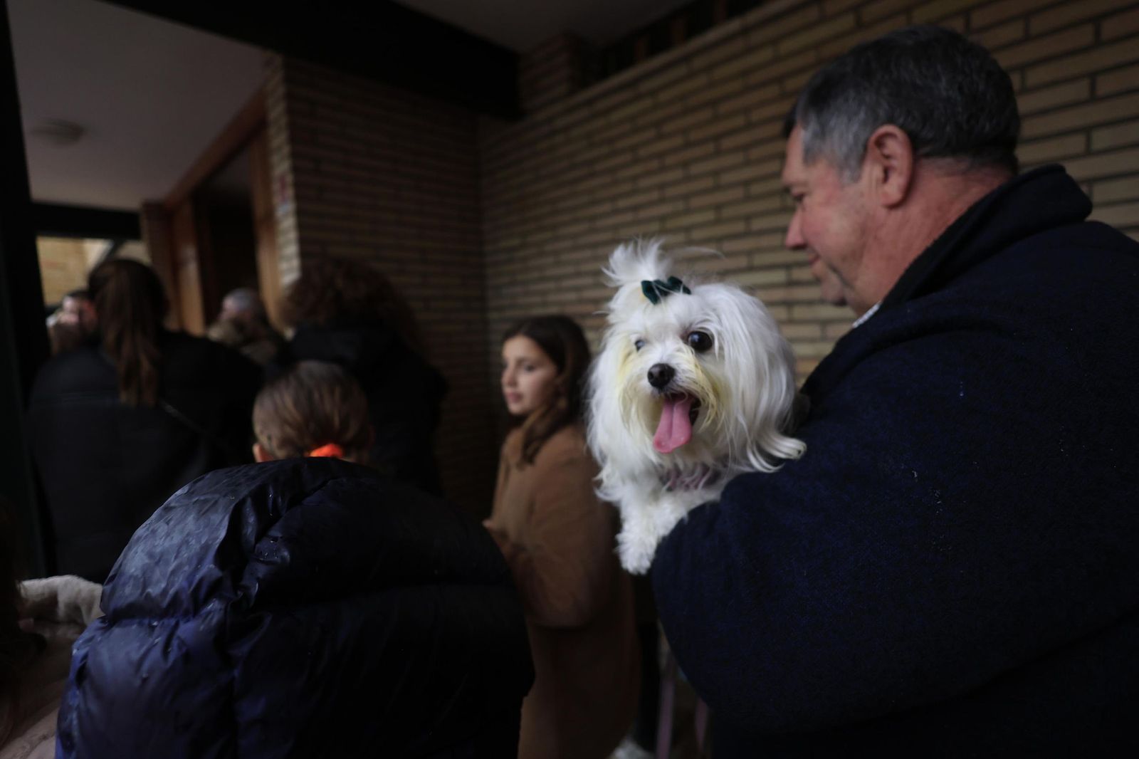 Las fotografías de la bendición de las mascotas por San Antón 2026