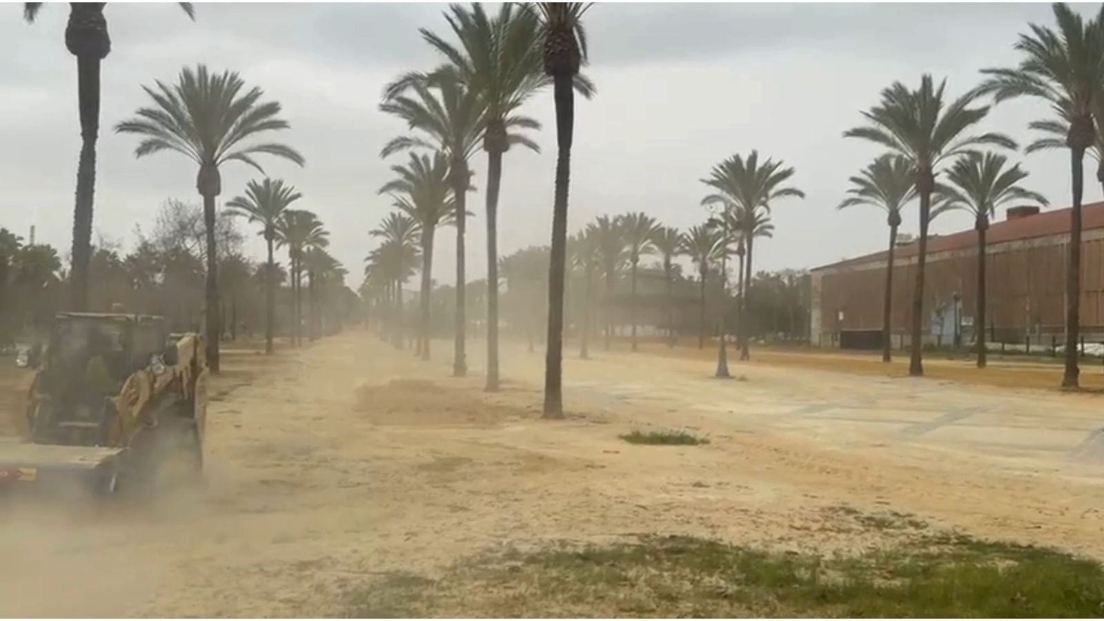 Puesta a punto en el Hontoria: Así se repone ya el albero para la Feria de Jerez