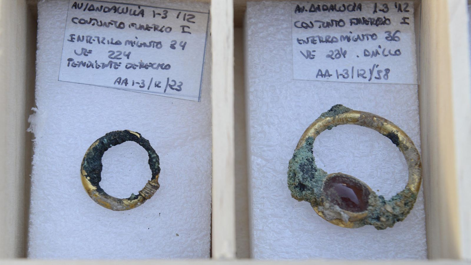 Anillos del ajuar de las tumbas púnicas de Subdelegación en 2013