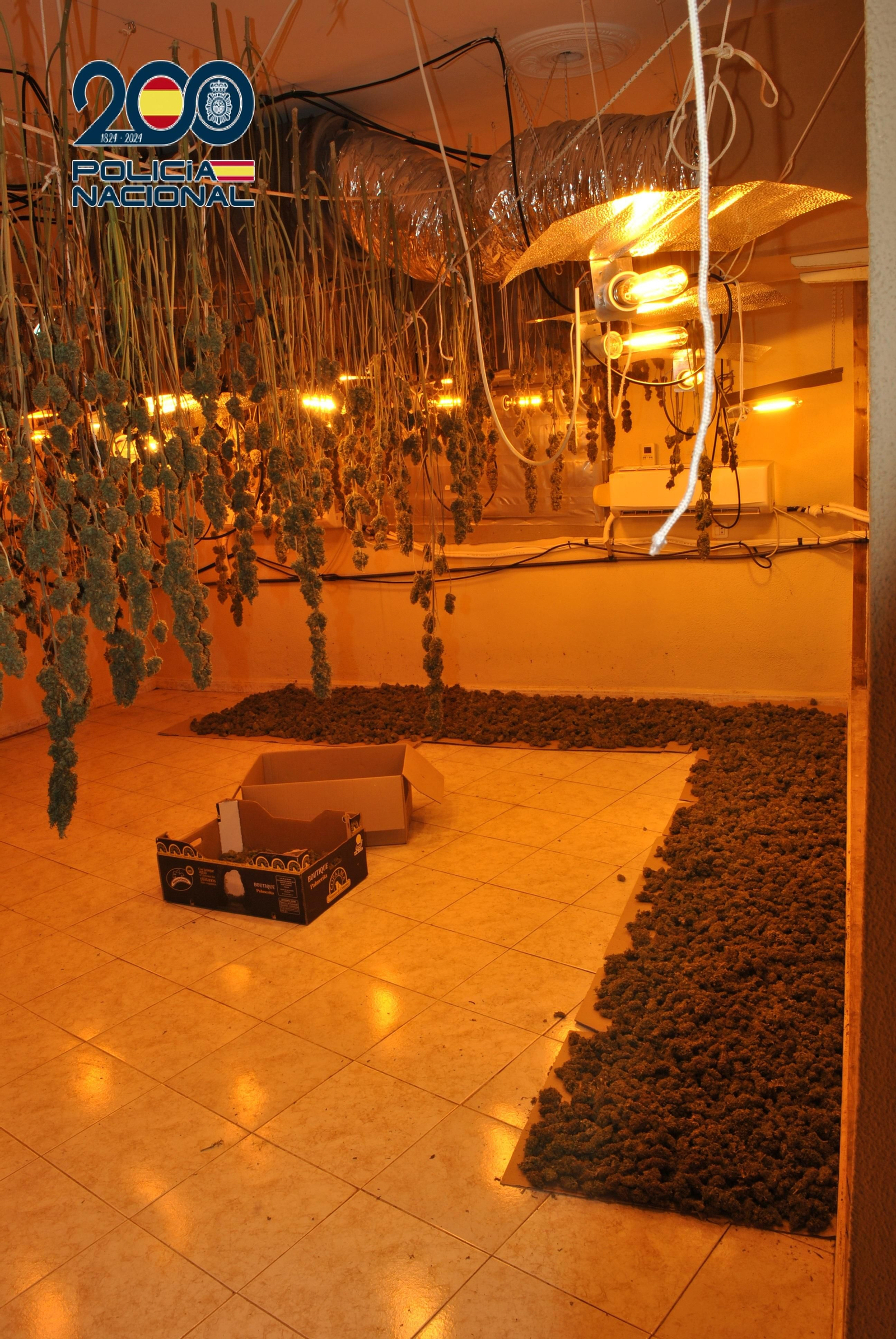 Una de las habitaciones para el cultivo de marihuana en una vivienda del Saladillo.