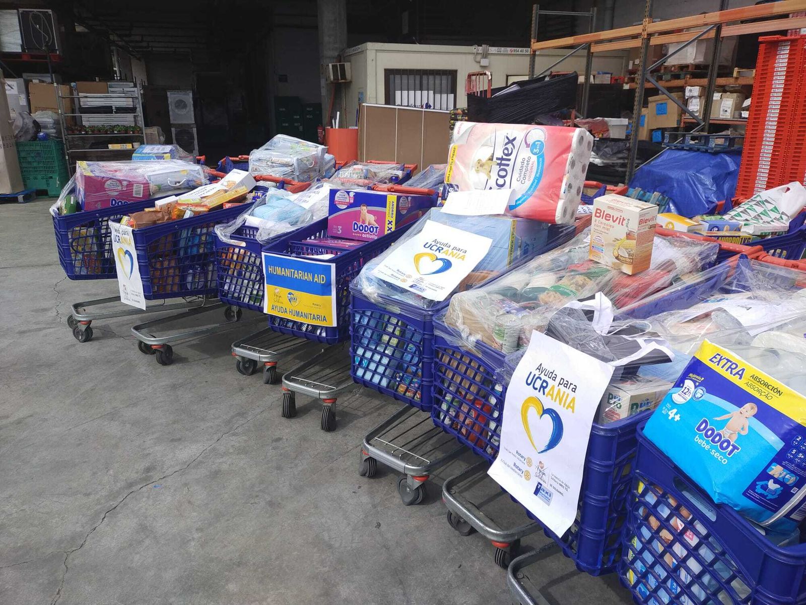 Parte de la recogida que han realizado en Marbella.