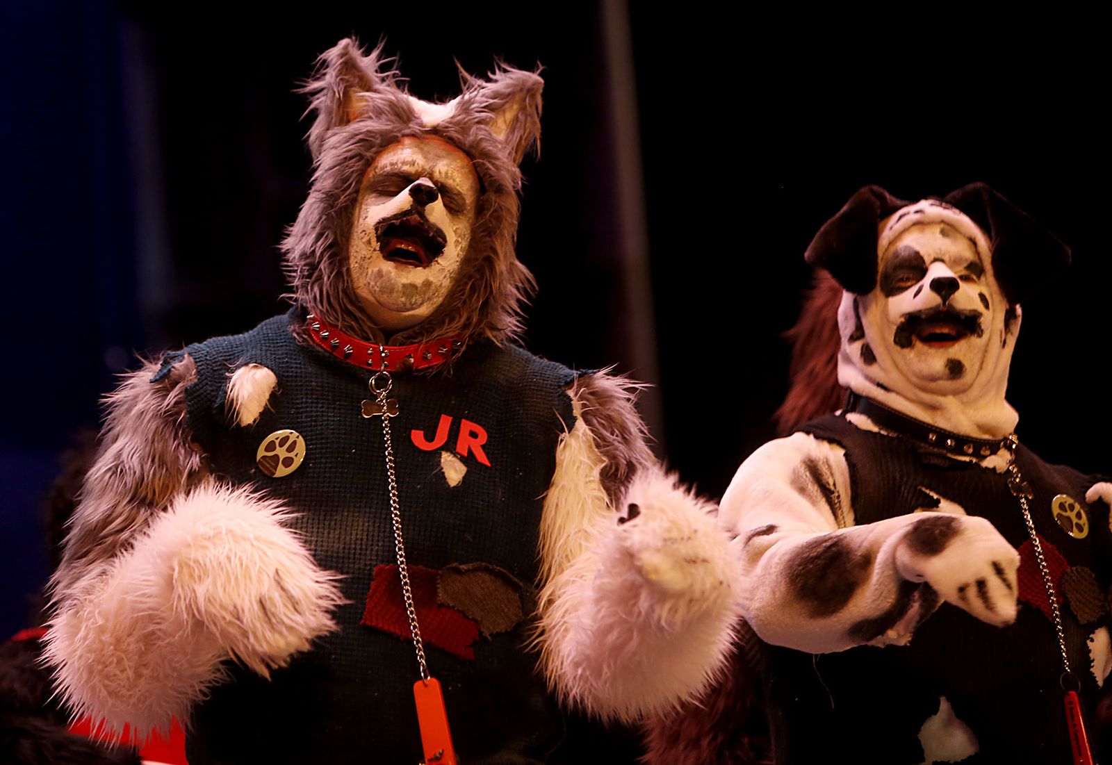 Las imágenes de la decimocuarta función clasificatoria