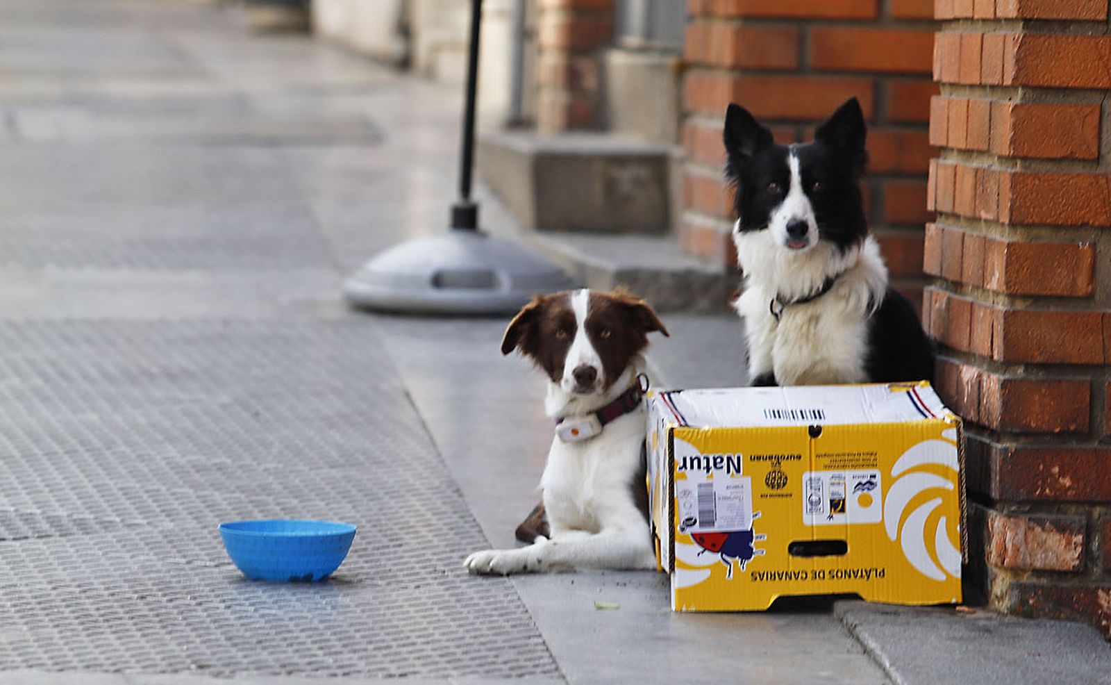 Las imágenes más destacadas del lunes 11 de septiembre en Huelva