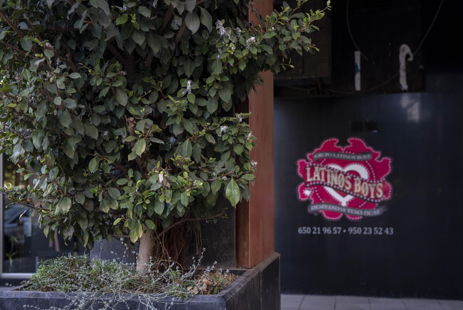 tantalizing vision of Tayna Cerqueira pelada