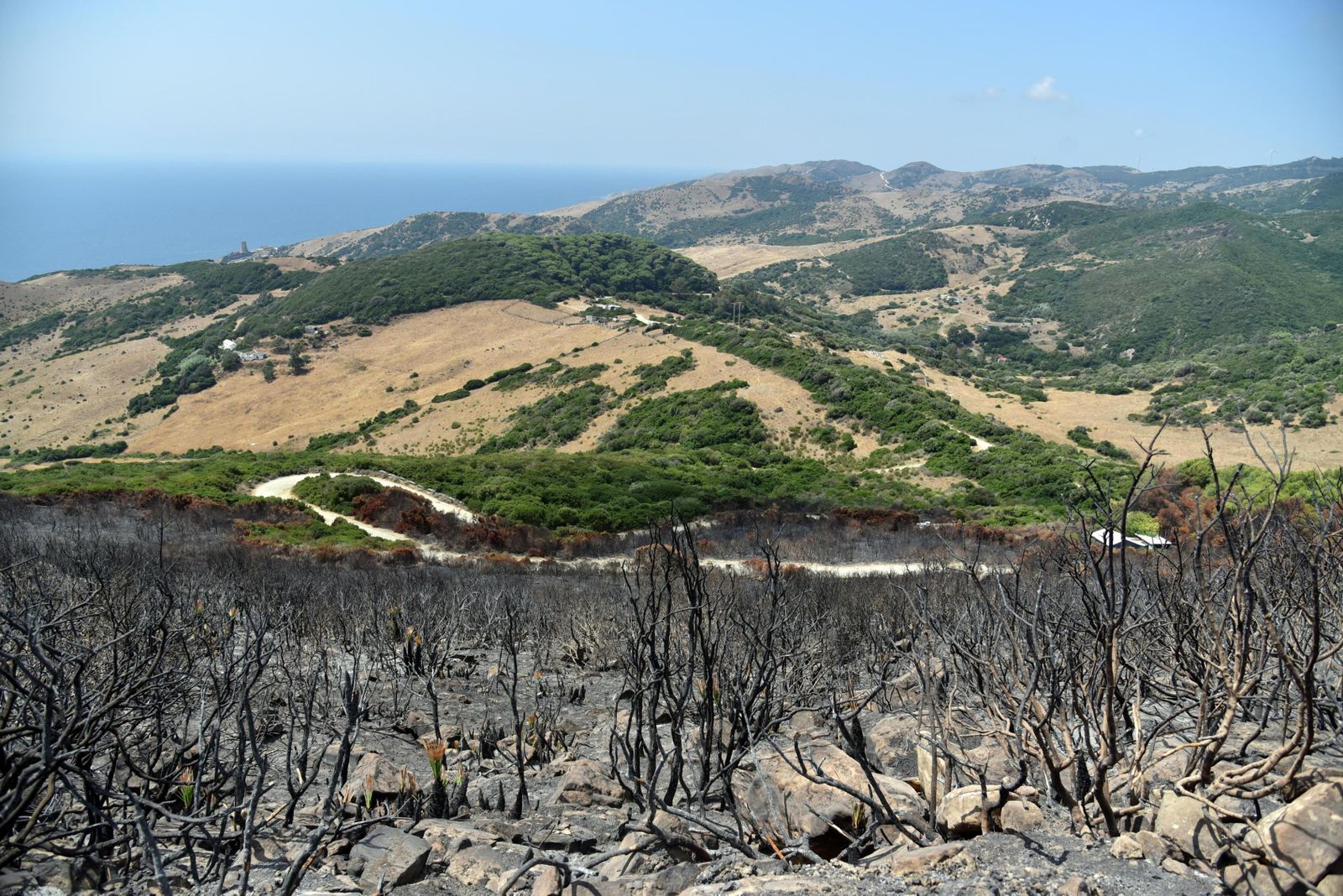 Sexto incendio en el municipio de Tarifa en lo que va de verano