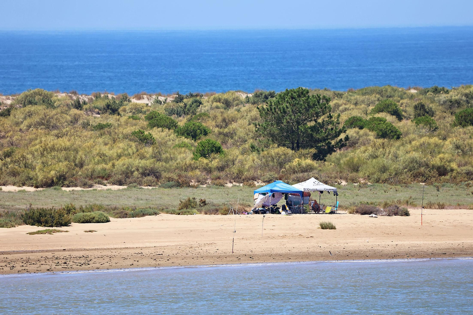 Las espectaculares vistas de la Flecha del Rompido desde el mirador de Nuevo Portil