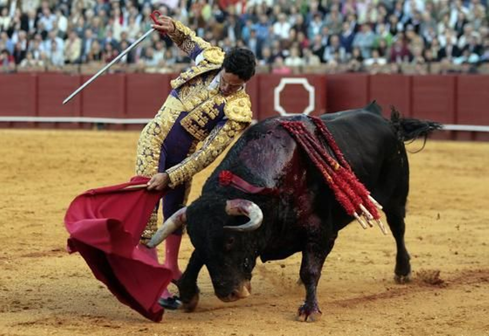 Oliva, en una trincherilla al quinto toro, el mejor del encierro.

Foto: Juan Carlos Muñoz