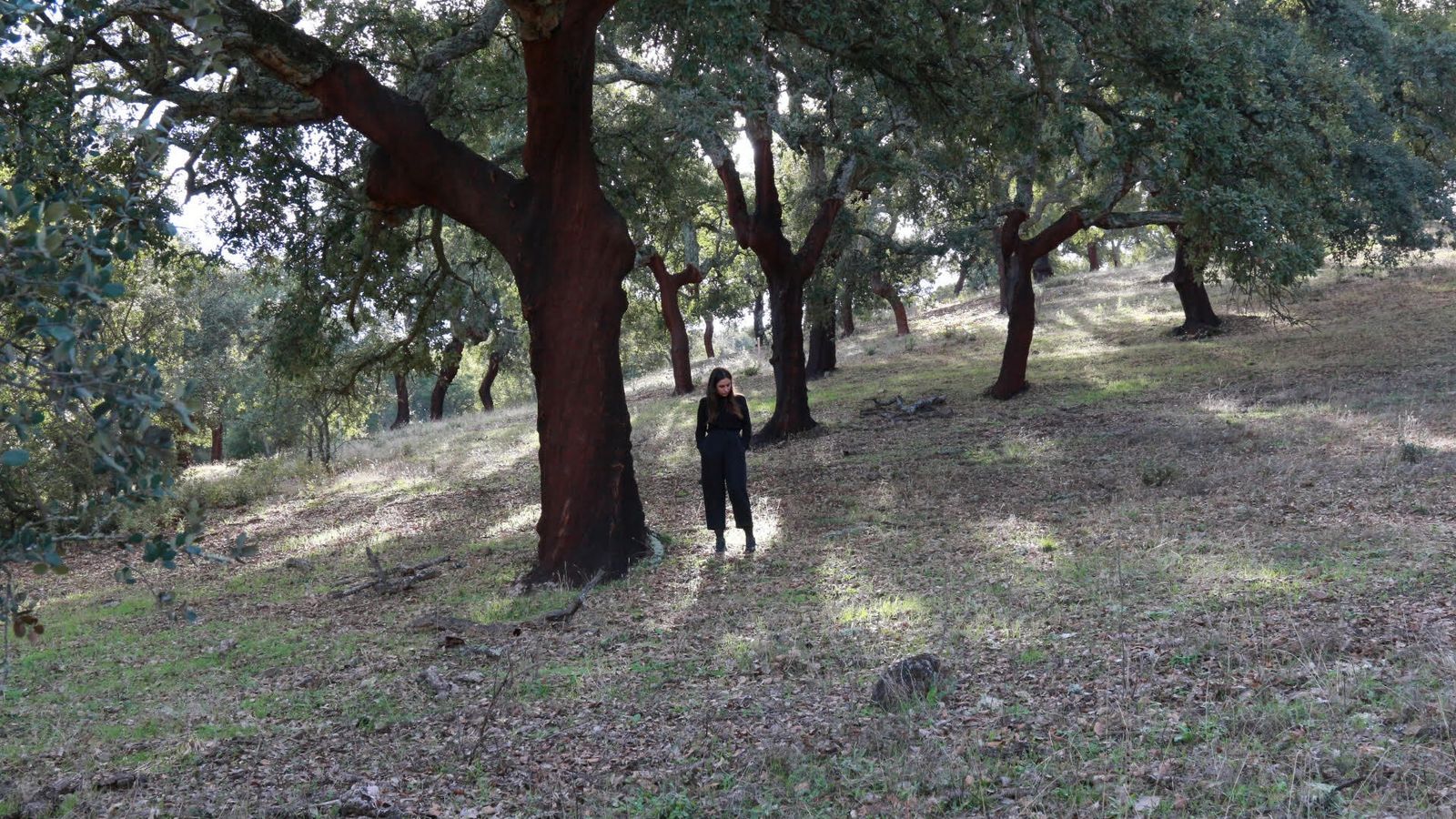 María Sánchez Rodríguez.