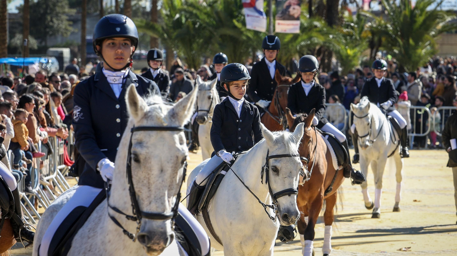 Búscate en San Antón de Jerez