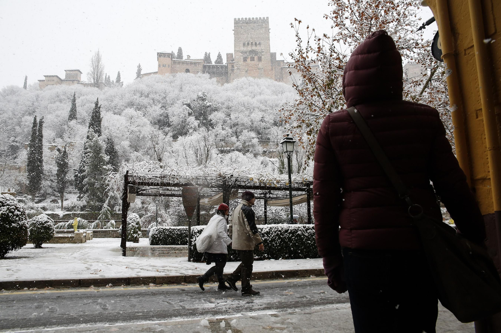 La nevada de Granada, en imágenes