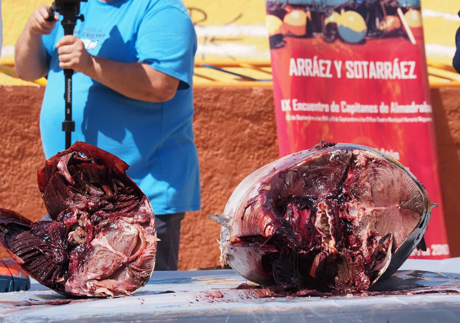 Las espectaculares imágenes del ronqueo de un atún en Isla Cristina