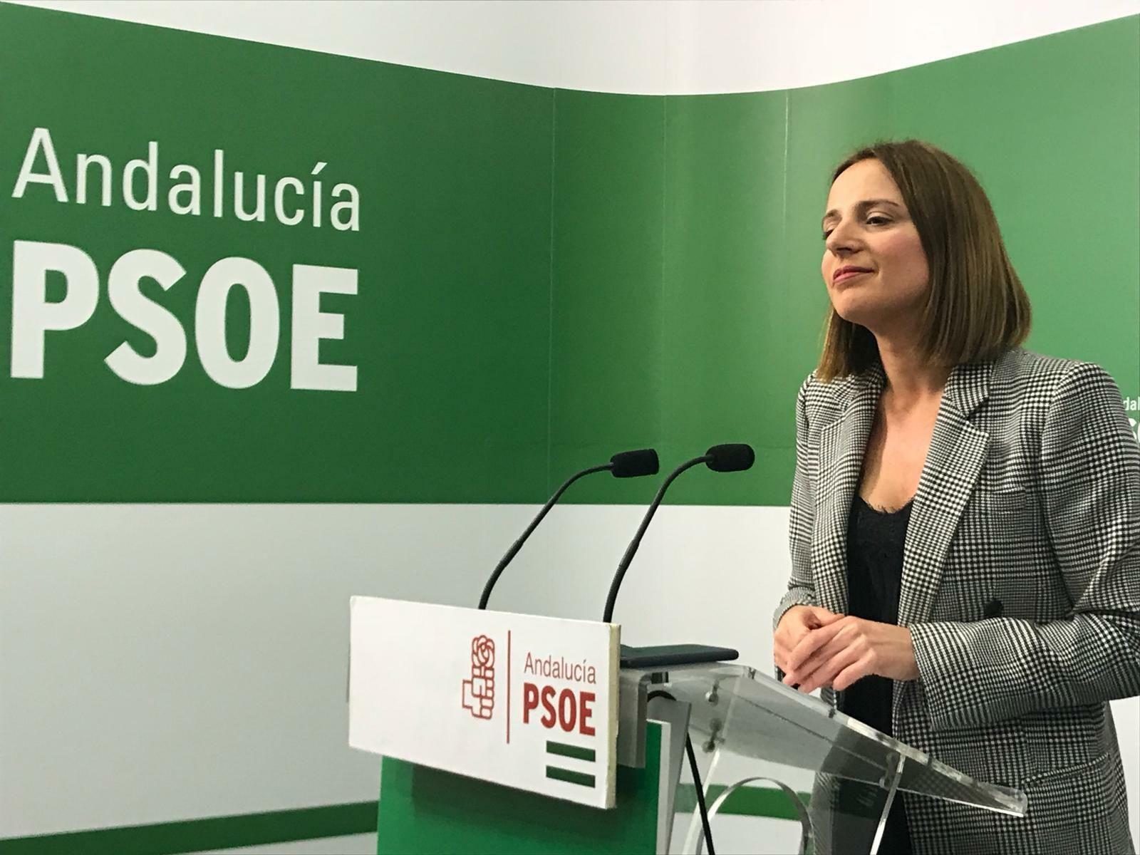 Ana Carrera, diputada provincial de Empleo. Ana Carrera, diputada provincial de Empleo.