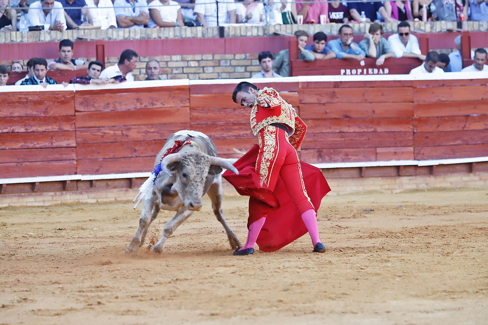 COLOMBINAS 2023: Festejo del miércoles de la Feria Taurina