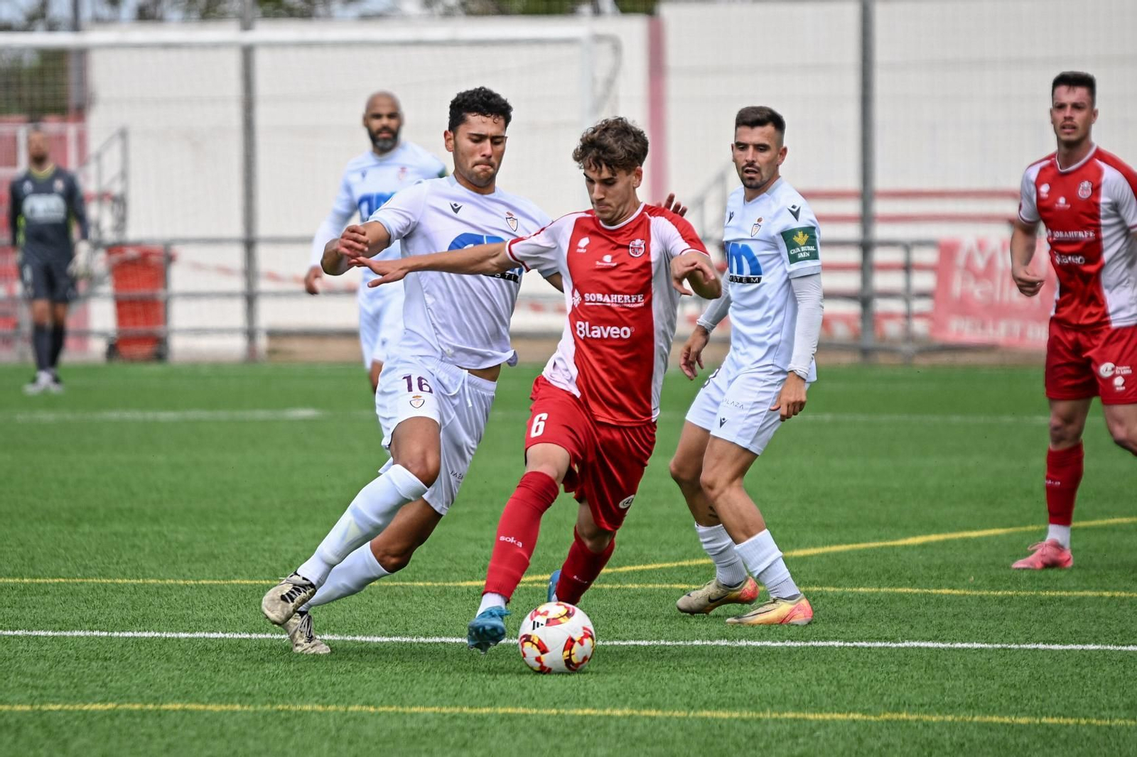 El conjunto lagarto fue incapaz de superar al CD Torreperogil.