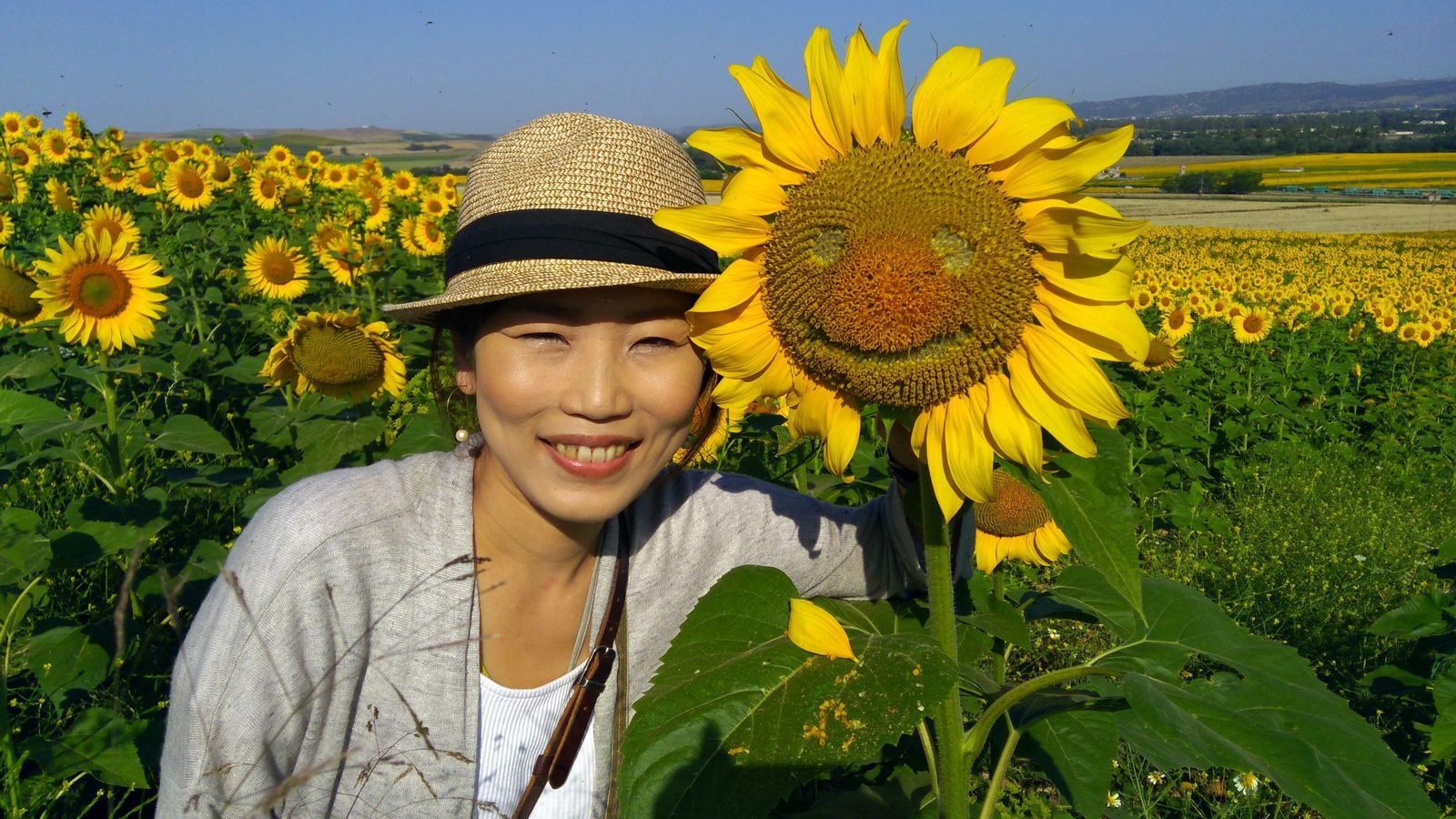Visita a un campo de girasoles con Caracol Tours.